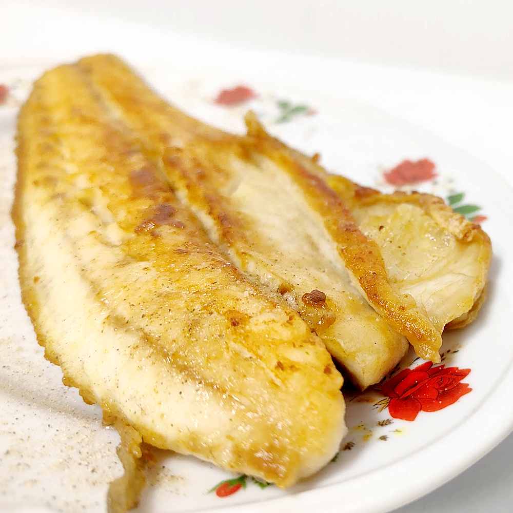 Cobia